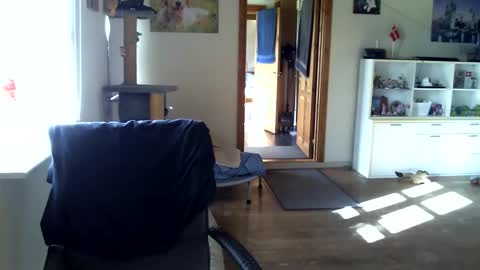 Snapshot of chefben666 chatting on 16, 10, 2025 chefben666 online show from 16, 10, 2025