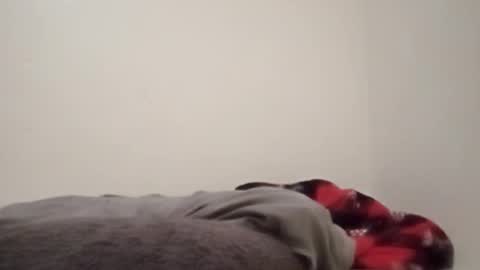 ChemicalX  online show from 4, 2, 2026