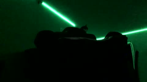 Snapshot of chenovich chatting on 16, 11, 2025 chenovich online show from 16, 11, 2025