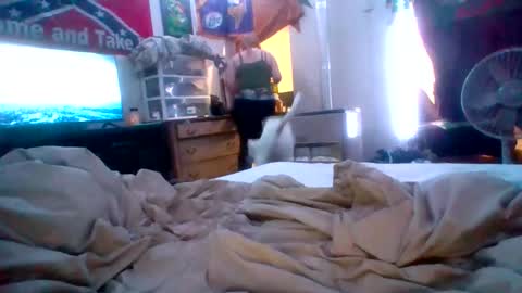 Snapshot of cherrybomb454 chatting on 16, 2, 2026 cherrybomb454 online show from 16, 2, 2026