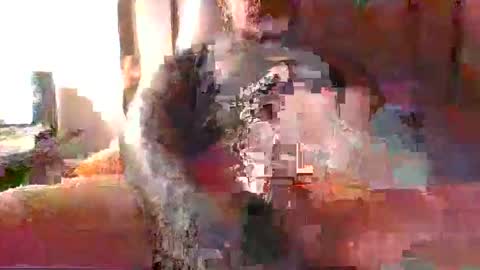 Snapshot of chikoink43 chatting on 31, 12, 2024 chikoink43 online show from 31, 12, 2024