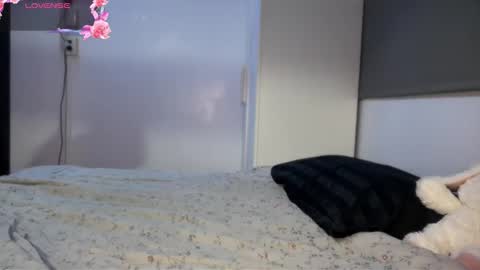 Snapshot of chillstella chatting on 13, 2, 2026 Call me Stelz online show from 13, 2, 2026