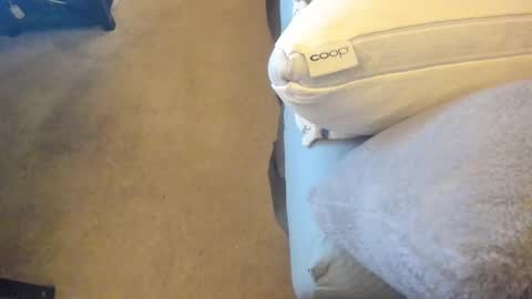 Snapshot of chris_martinson chatting on 27, 2, 2025 Chris Martinson XXX online show from 27, 2, 2025