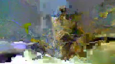 Snapshot of chuck354139 chatting on 13, 2, 2025 chuck354139 online show from 13, 2, 2025