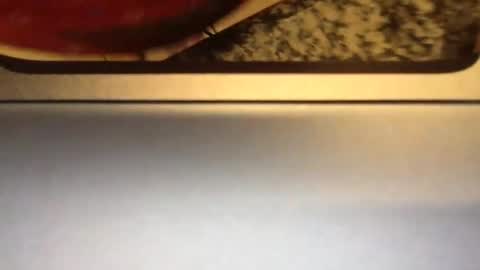 Carlee  carleegracexxx online show from 5, 4, 2026