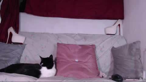 Snapshot of cicimom chatting on 24, 1, 2025 cicimom online show from 24, 1, 2025