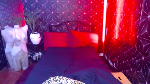 Cindy online show from 12, 12, 2024