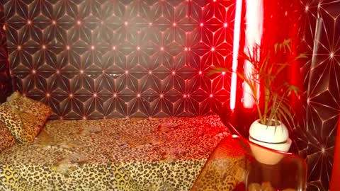 Cindy online show from 28, 12, 2024