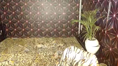 Cindy online show from 7, 1, 2025