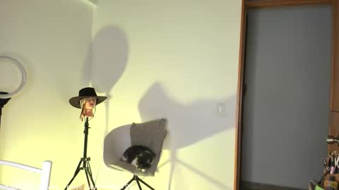 Snapshot of claudiarivera_1 chatting on 31, 10, 2025 Claudia Rivera online show from 31, 10, 2025