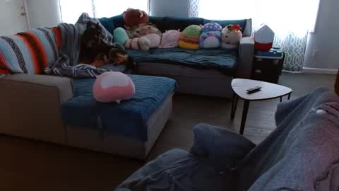 Stone Daily online show from 22, 9, 2025