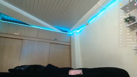 Snapshot of clermontt chatting on 14, 2, 2026 clermontt online show from 14, 2, 2026