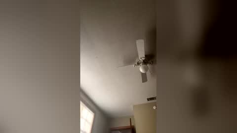 cm653925 online show from 3, 2, 2026