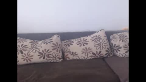 cobra4u online show from 19, 11, 2025