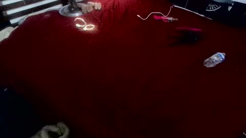 COCK N CREAMZ  WET DREAMZ online show from 12, 12, 2024