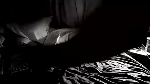 Mr. Fun Time online show from 25, 9, 2025