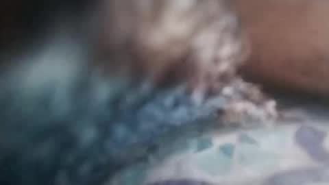 Snapshot of cojroymnamqm chatting on 7, 11, 2025 cojroymnamqm online show from 7, 11, 2025