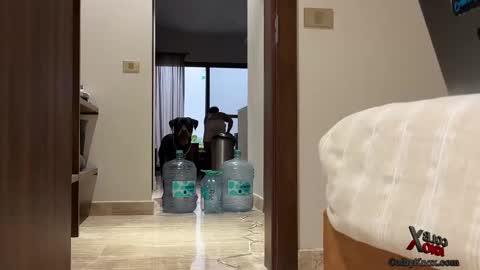 Snapshot of colbyknox chatting on 20, 9, 2025 colbyknox online show from 20, 9, 2025