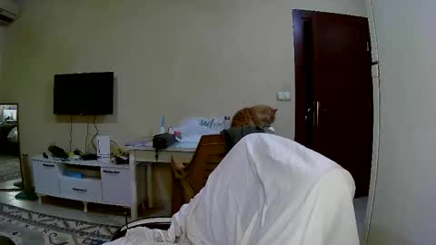 coldskull15 online show from 16, 1, 2026