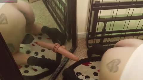 Snapshot of controllercutie chatting on 20, 3, 2026 controllercutie online show from 20, 3, 2026