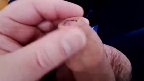 Harry 13 online show from 12, 3, 2025