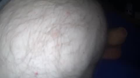 Harry 13 online show from 15, 11, 2025