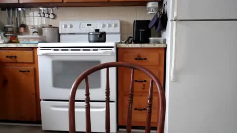 Cool Dude online show from 19, 2, 2025