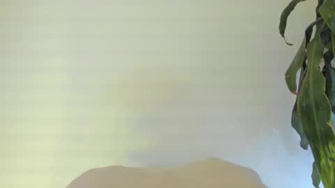 Coral princex online show from 24, 2, 2026