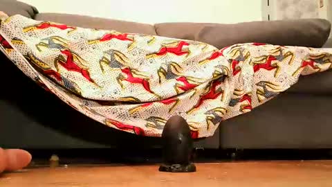 Snapshot of cossy69 chatting on 26, 9, 2025 Andy sissy room online show from 26, 9, 2025