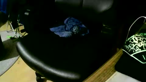 coyote017 online show from 17, 11, 2025