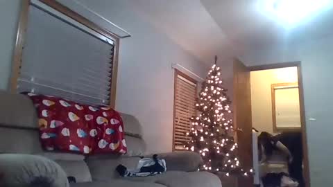 Snapshot of craveitoften chatting on 26, 12, 2024 craveitoften online show from 26, 12, 2024