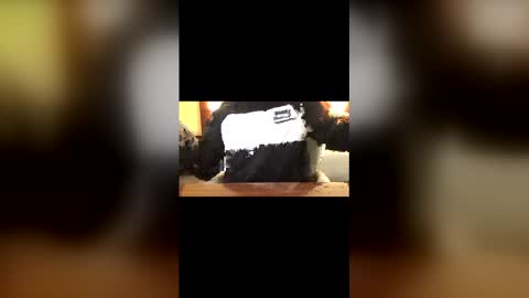 Snapshot of creamycurtis chatting on 22, 3, 2026 Curtis online show from 22, 3, 2026