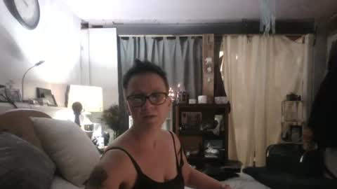 Tulip online show from 2, 12, 2024