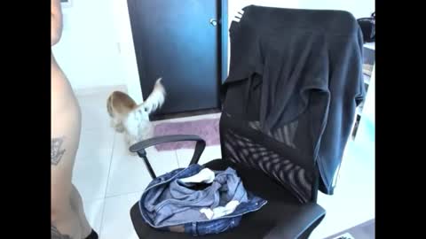 Snapshot of cristinasweet7 chatting on 30, 11, 2025 cristinasweet7 online show from 30, 11, 2025