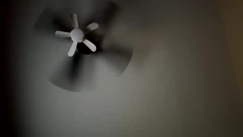 Snapshot of critterluvsfeet chatting on 20, 10, 2025 Critter2999LuvsFeet online show from 20, 10, 2025