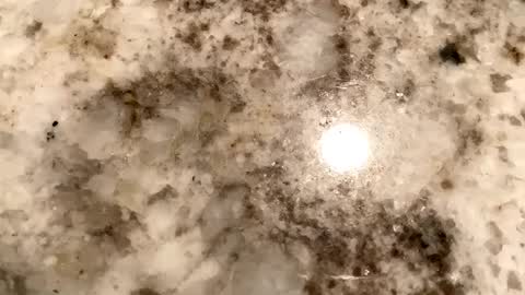 Snapshot of crushit chatting on 6, 2, 2025 Crushit online show from 6, 2, 2025