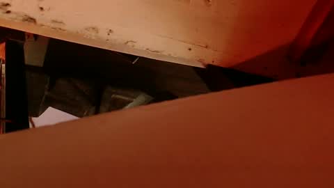 Snapshot of cryan78 chatting on 4, 2, 2025 cryan96 online show from 4, 2, 2025