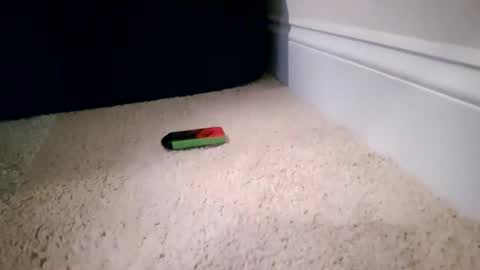 ctcboyy online show from 4, 11, 2025