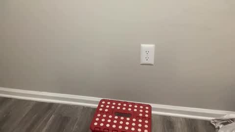 BlacTrojan OF online show from 4, 2, 2026