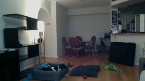 Snapshot of cumfiesta1 chatting on 2, 2, 2025 cumfiesta1 online show from 2, 2, 2025