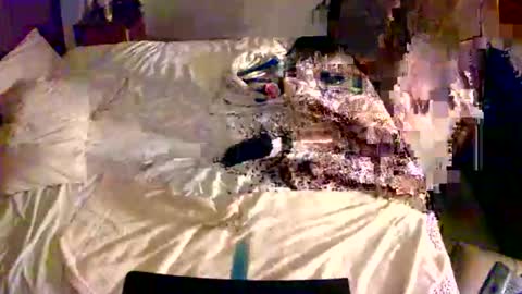 Snapshot of cummerforyouu chatting on 13, 2, 2026 Mike Smalls online show from 13, 2, 2026