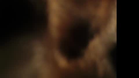 Snapshot of cumongiselle chatting on 25, 10, 2025 Giselle online show from 25, 10, 2025