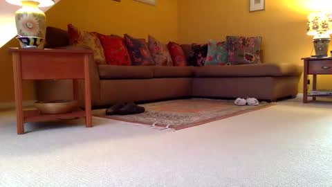 cumonherguys online show from 7, 11, 2025