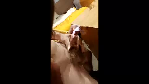 Snapshot of cunnemammaru chatting on 16, 12, 2025 cunnemammaru online show from 16, 12, 2025