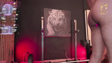 Cupeer online show from 8, 3, 2026