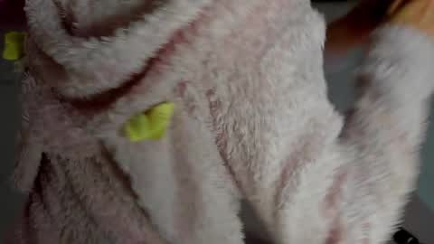 Snapshot of curlyanto chatting on 12, 11, 2025 Antonia online show from 12, 11, 2025