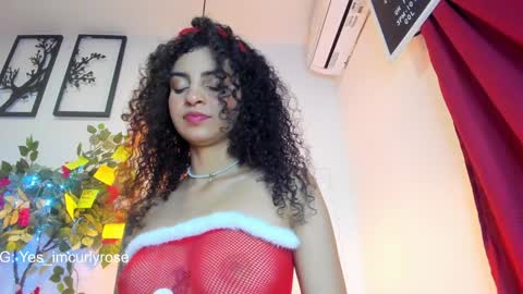 Rose online show from 24, 12, 2024