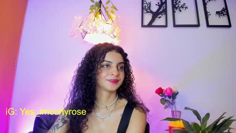 Rose online show from 26, 1, 2025