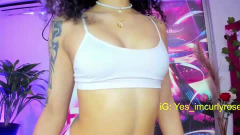 Rose online show from 17, 2, 2025