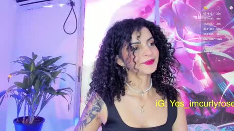 Rose online show from 26, 2, 2025